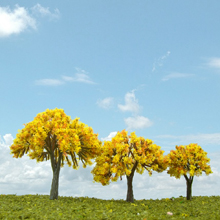 model trees
